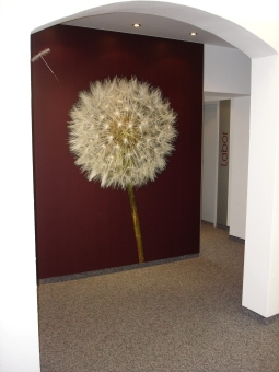 Pusteblume